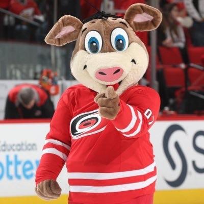 Why Are The Carolina Hurricanes Called A 'Bunch Of Jerks