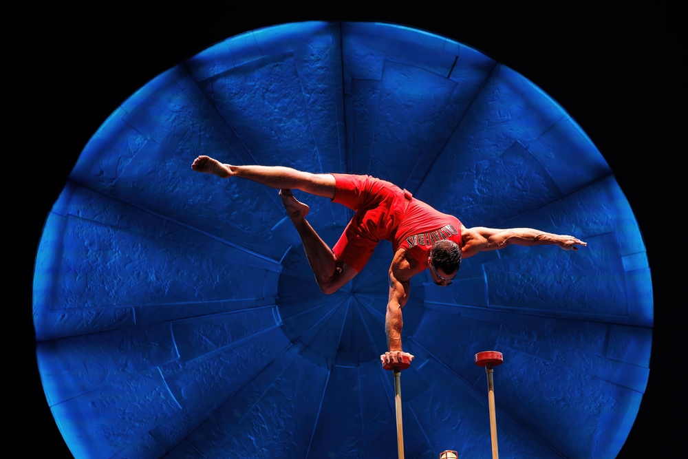 Cirque Du Soleil: When the Innovator Needs to (Re-)Innovate